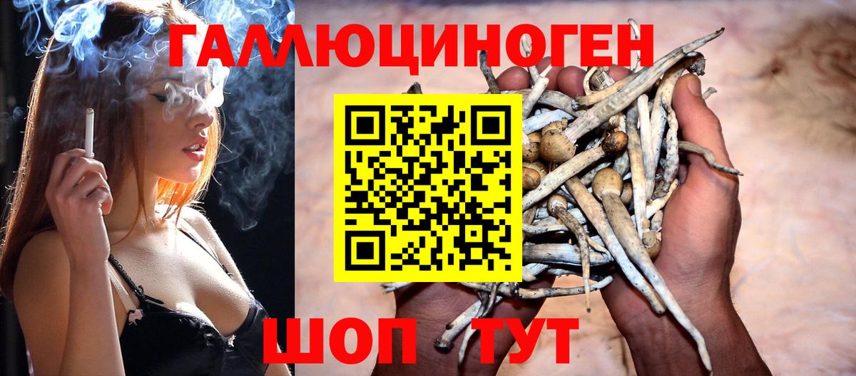 Галлюциногенные грибы ЛСД Ухта